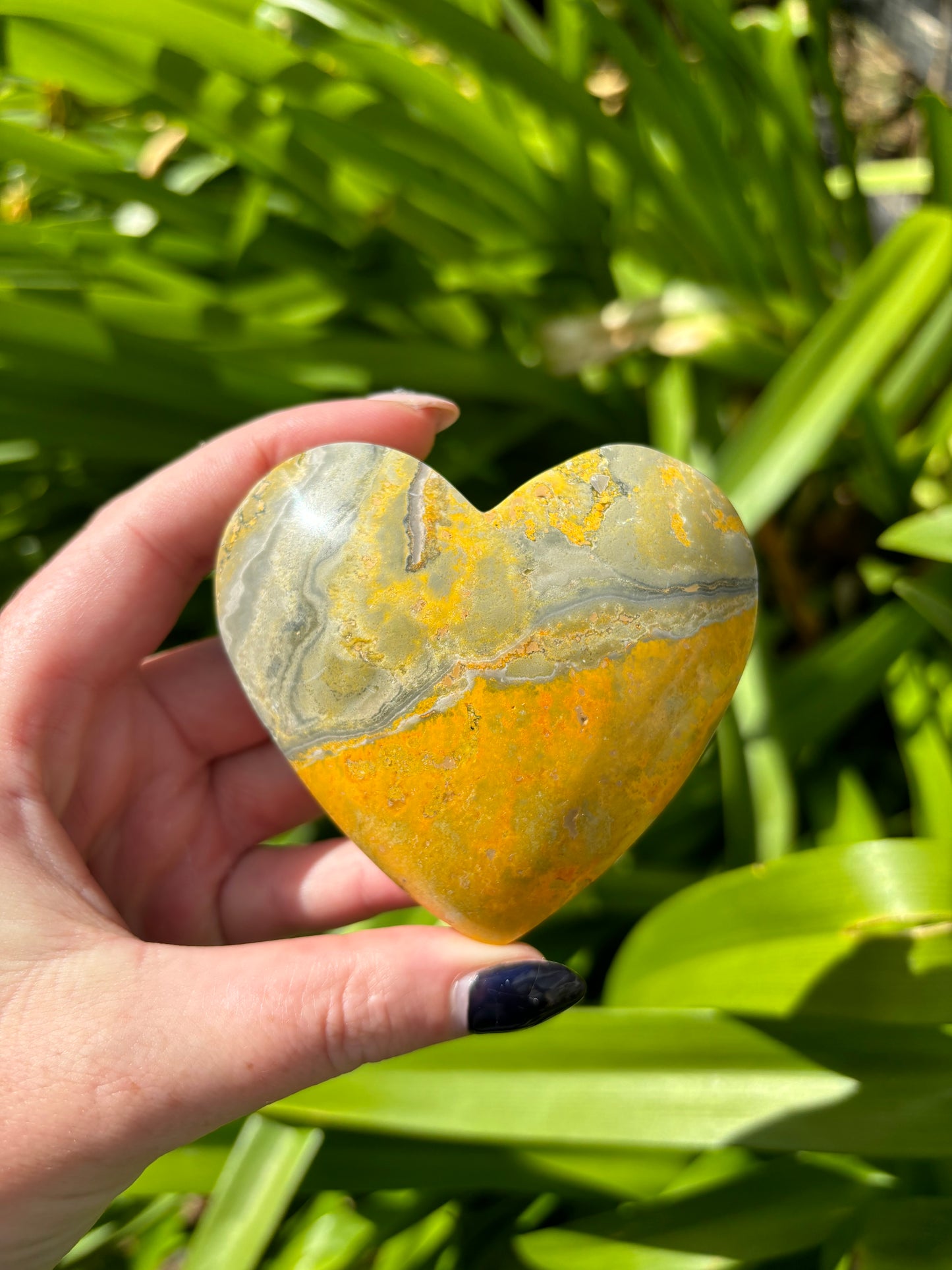 Bumble Bee Jasper Heart Large B