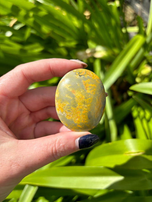 Bumble Bee Jasper Palm Stone A