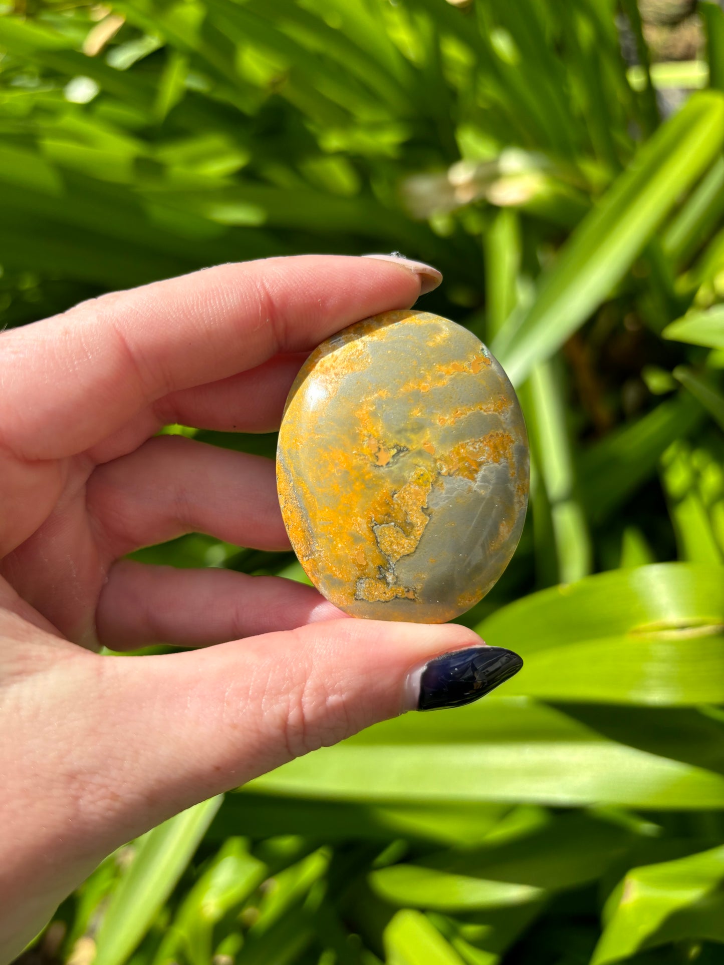 Bumble Bee Jasper Palm Stone A