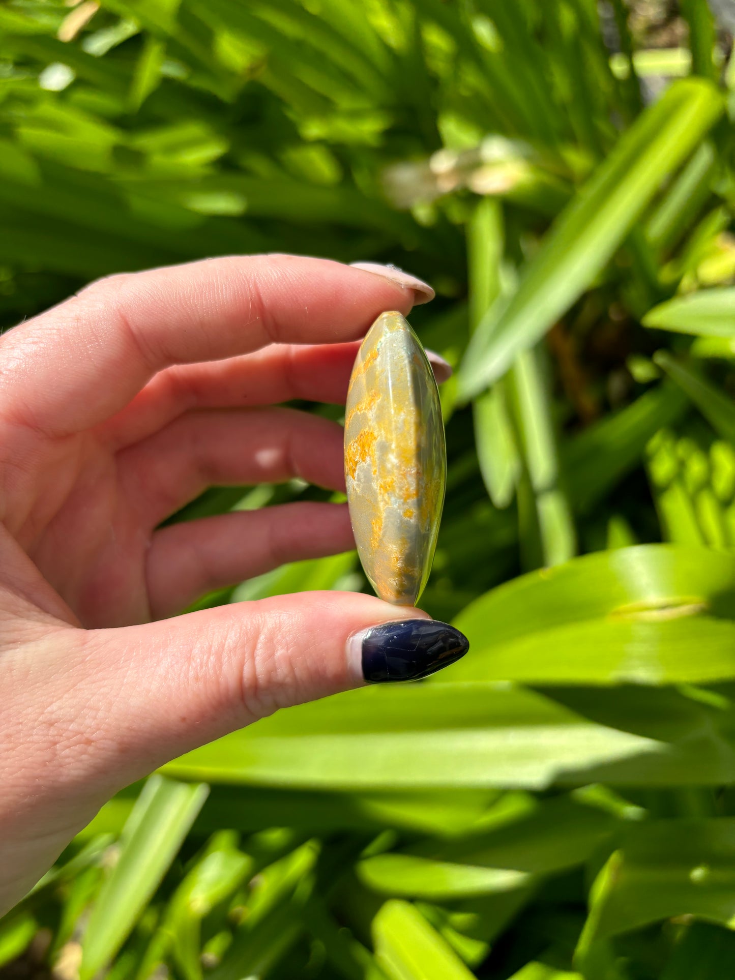 Bumble Bee Jasper Palm Stone A