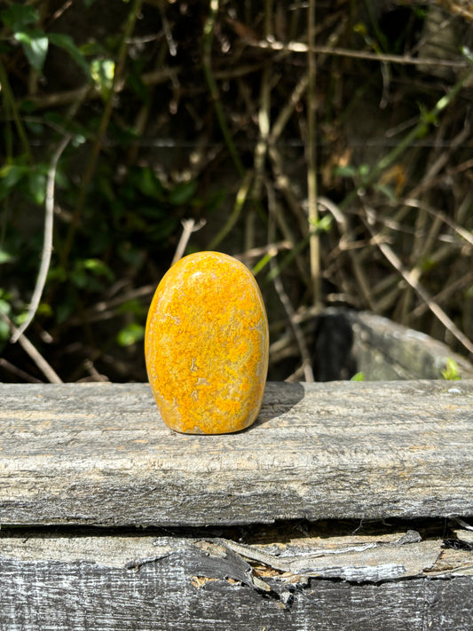 Bumble Bee Jasper Free Form A