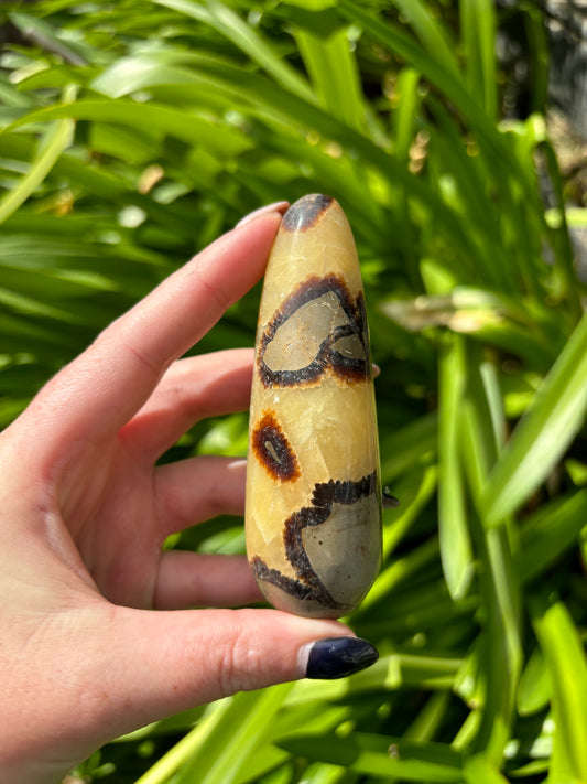 Septarian Wand A