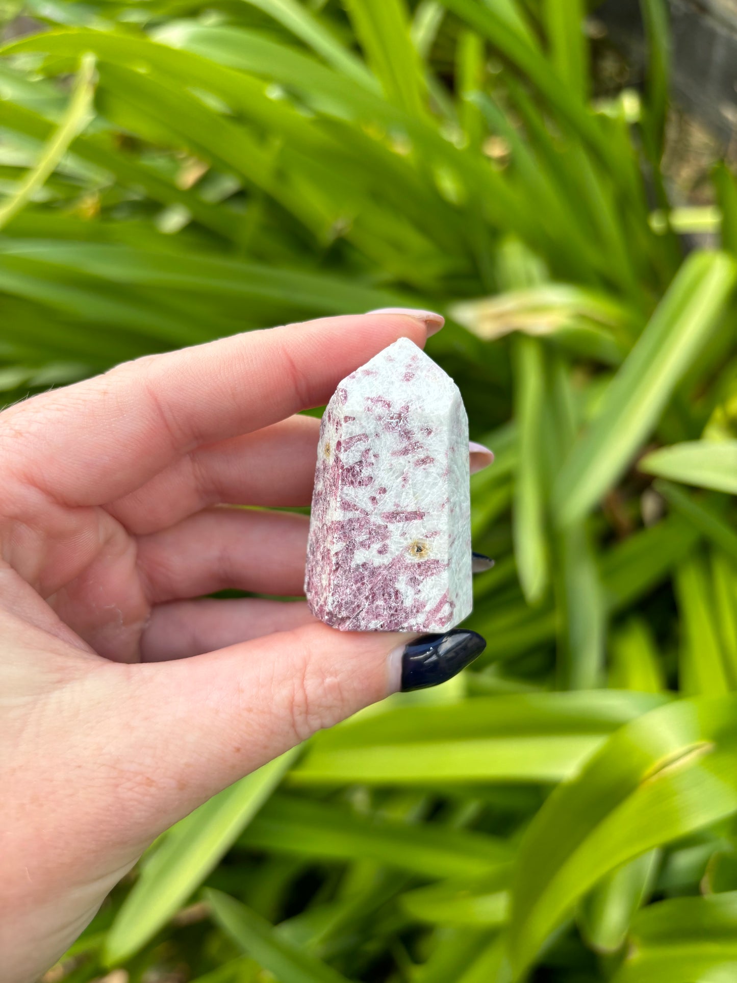 Pink Tourmaline Point Small A