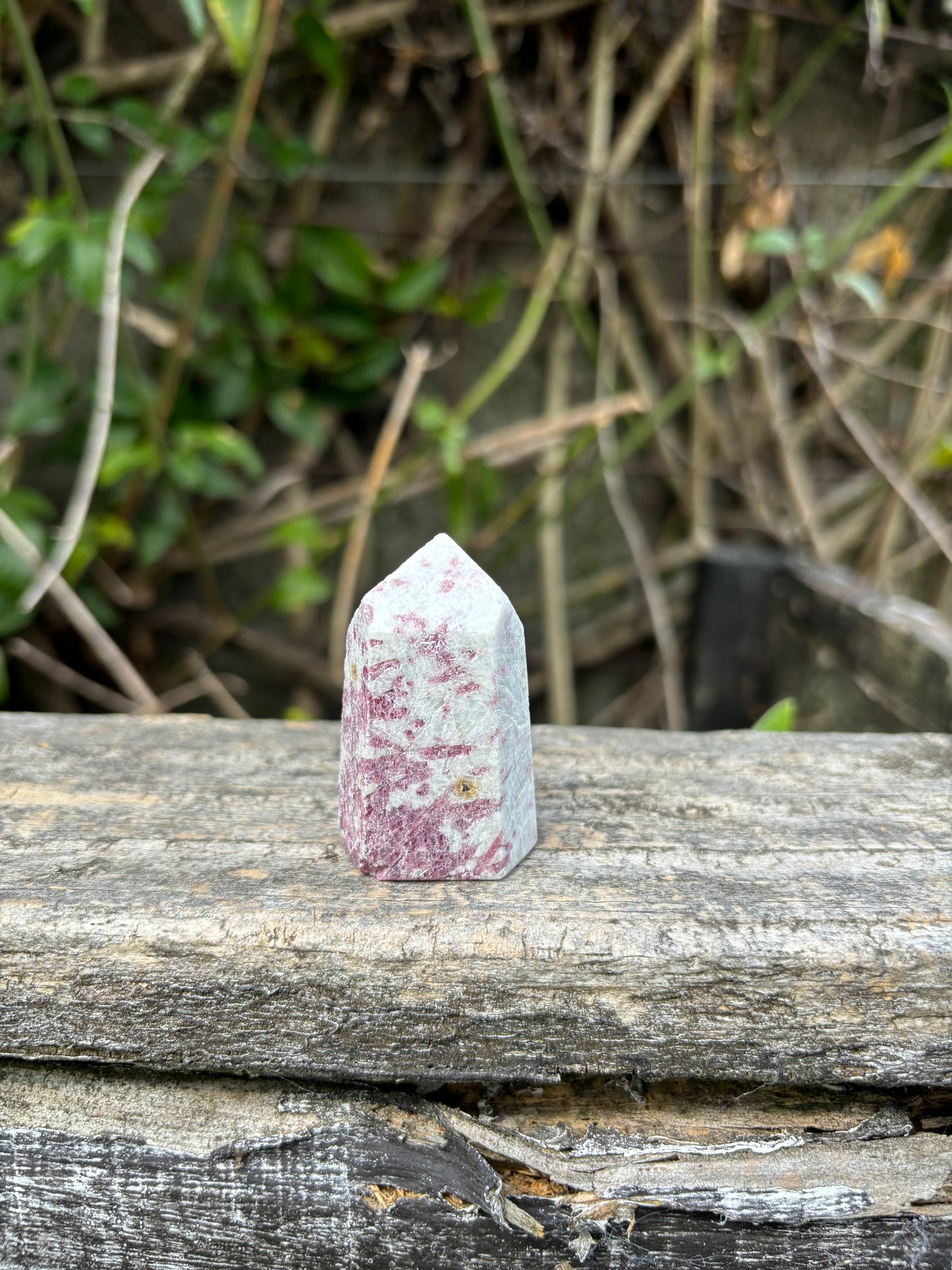 Pink Tourmaline Point Small A