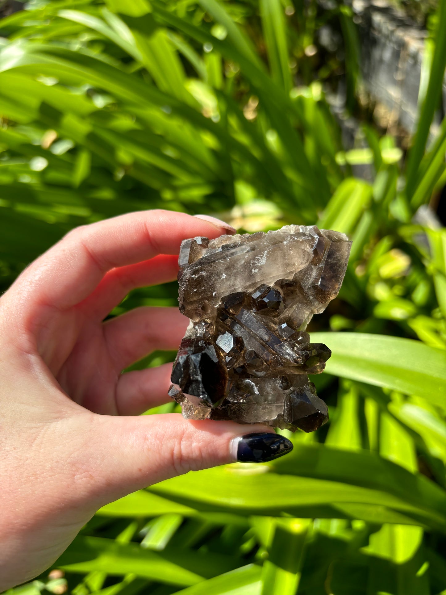 Smoky Quartz Cluster A