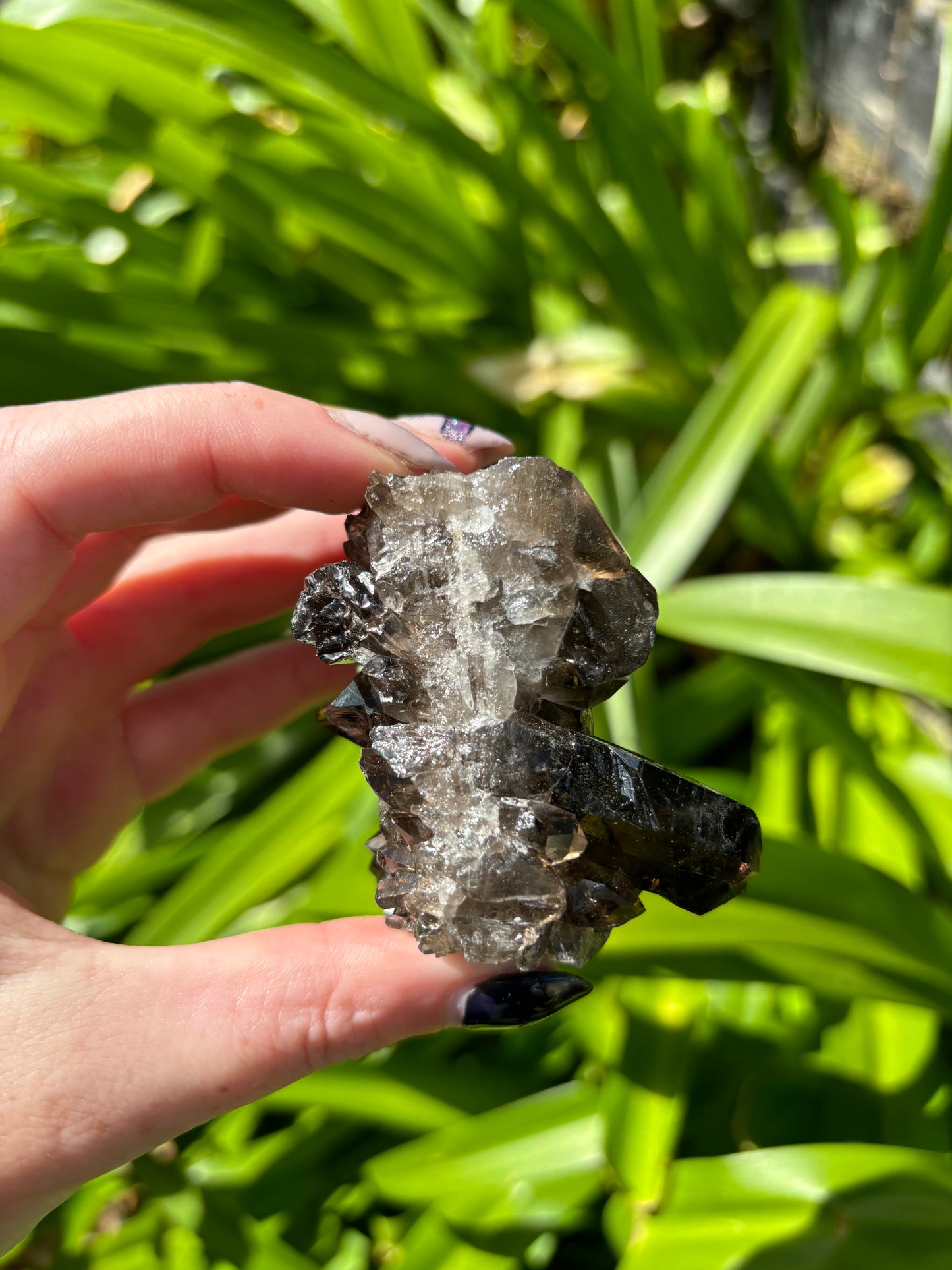 Smoky Quartz Cluster A