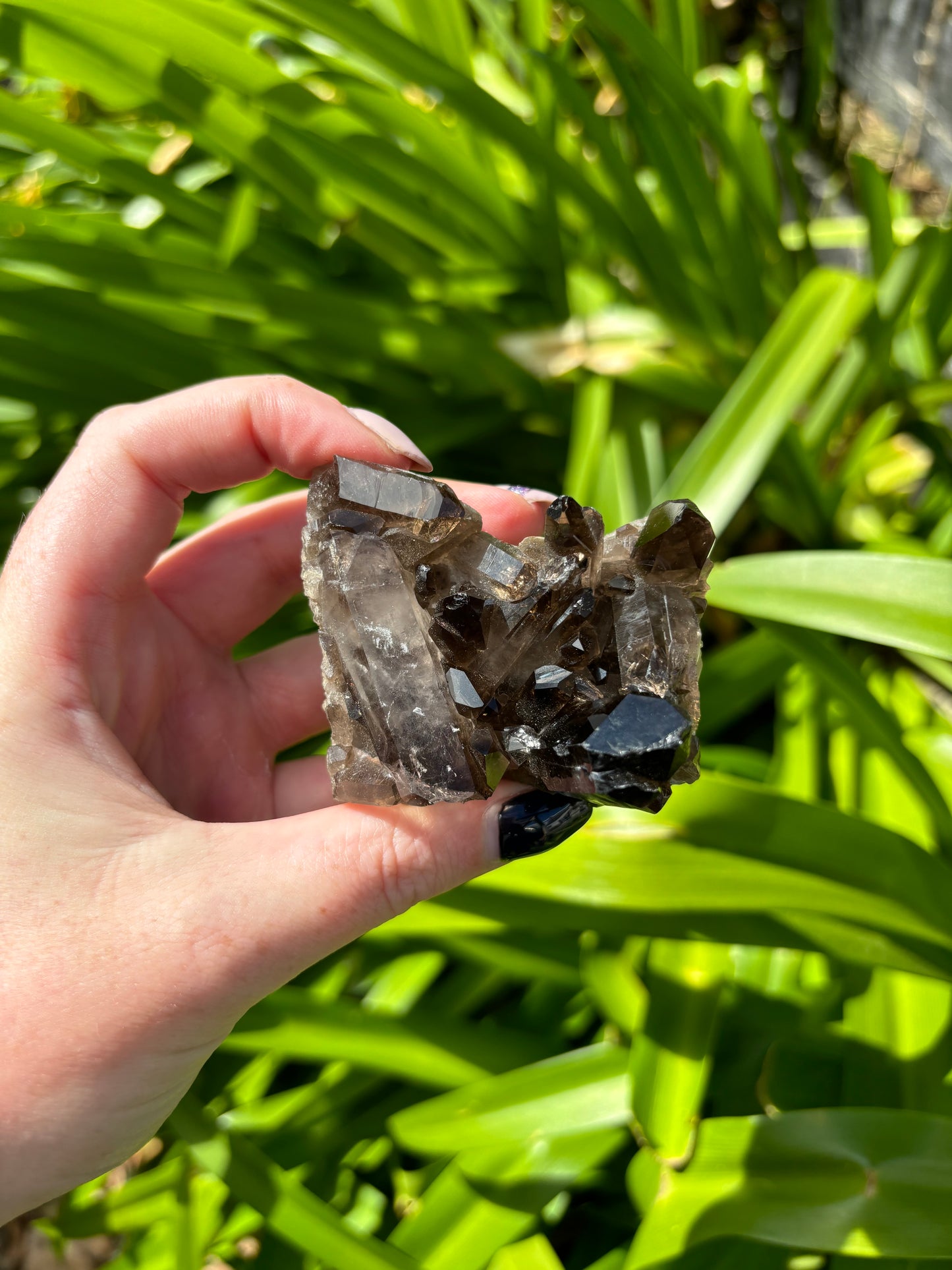 Smoky Quartz Cluster A