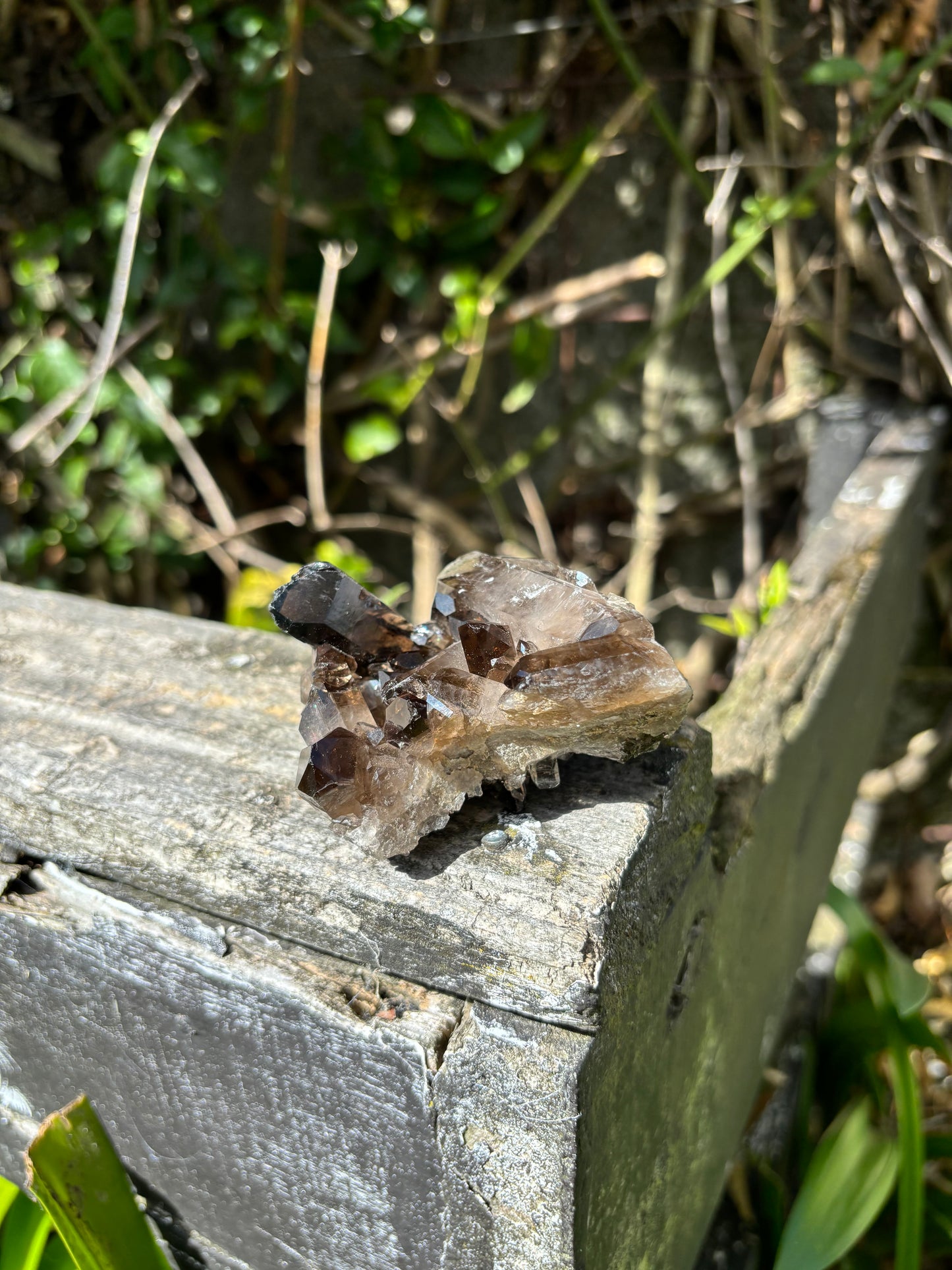 Smoky Quartz Cluster A