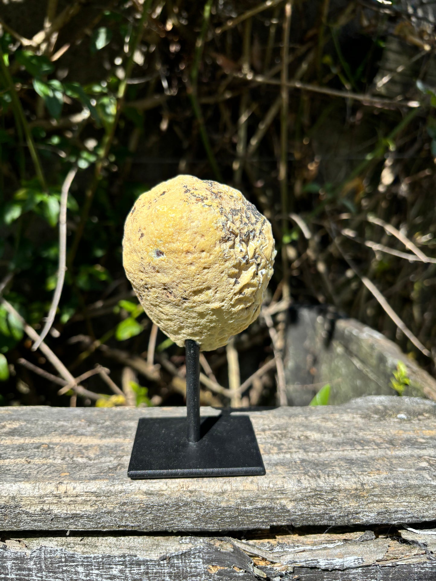 Natural Agate Geode On Metal Stand B