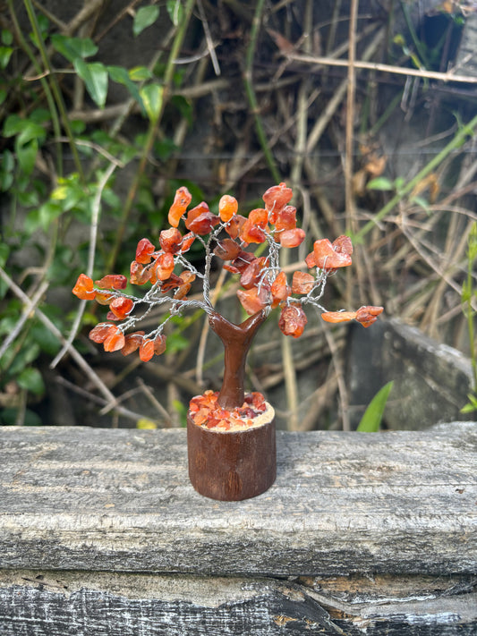 Carnelian Tree Small