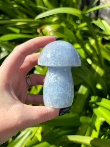 Blue Calcite Mushroom A