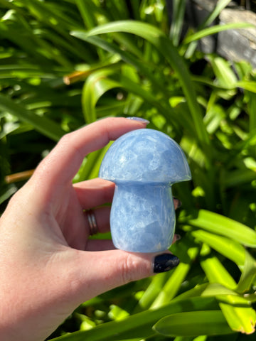 Blue Calcite Mushroom C