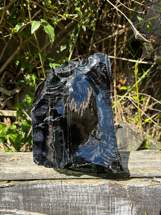 Black Obsidian Rough Flat Base XL 5.9kgs