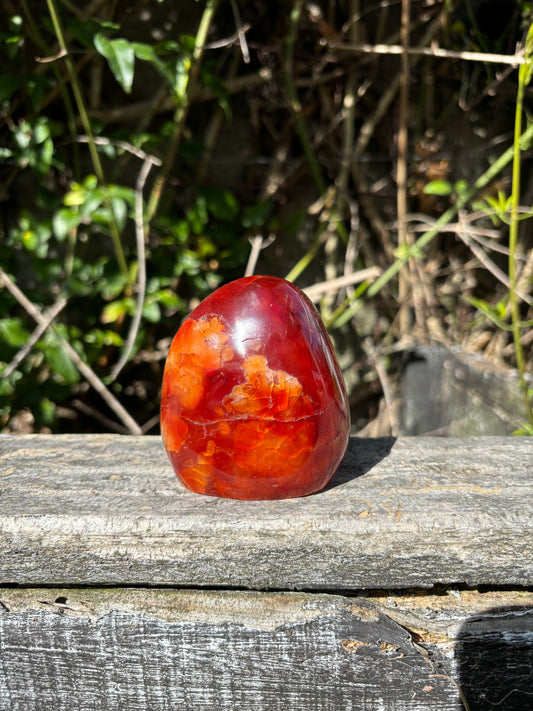 Carnelian Free Form A