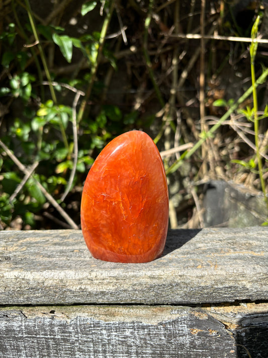 Carnelian Free Form B