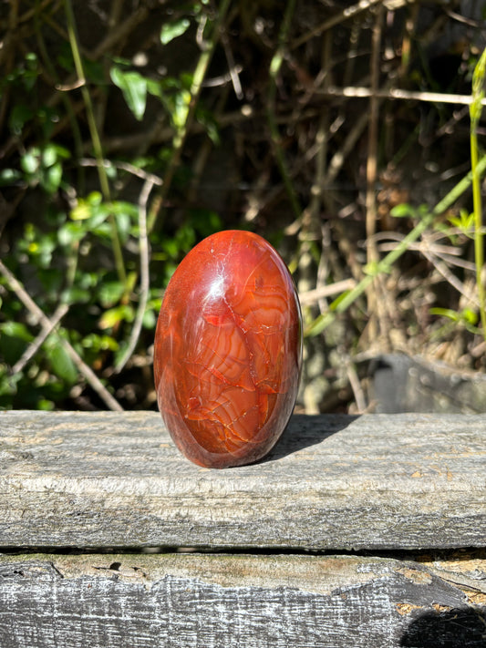 Carnelian Free Form C