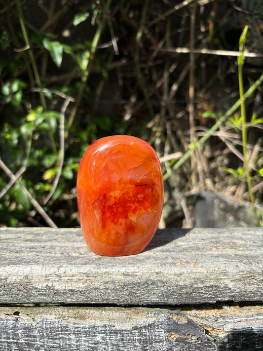 Carnelian Free Form D