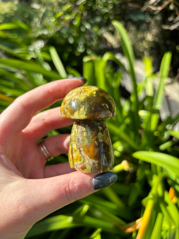 Green Opal Mushroom B