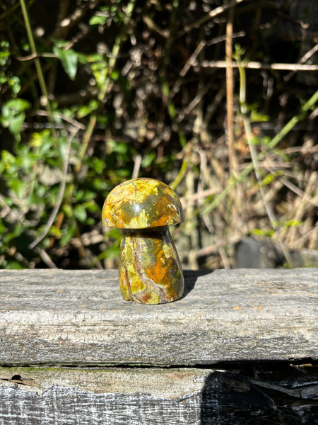 Green Opal Mushroom B