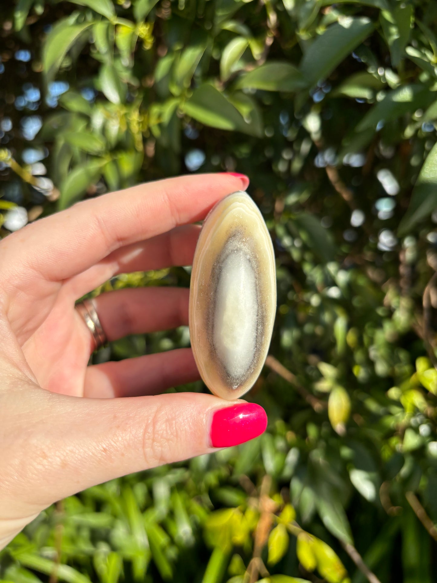 Zebra Calcite Palm Stone B