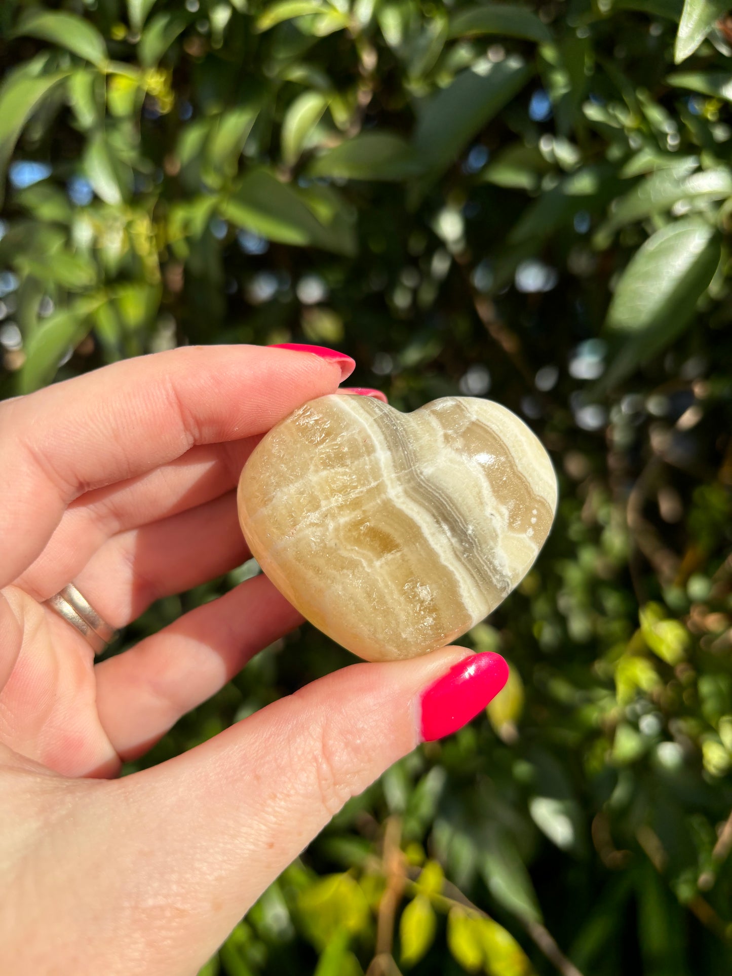 Zebra Calcite Heart D