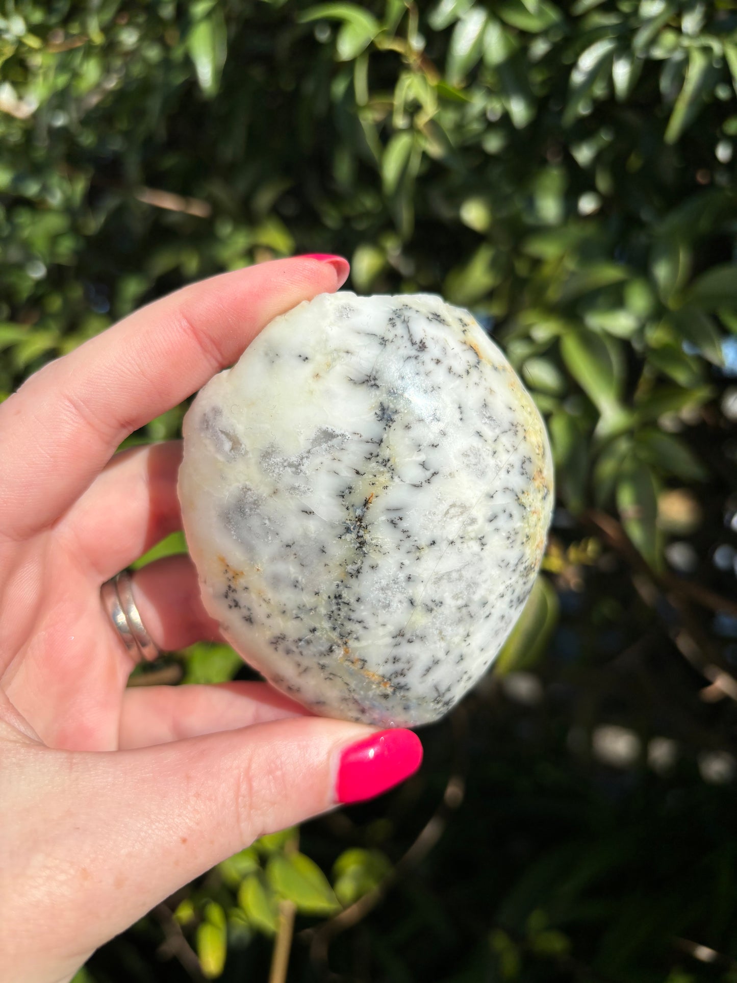 Dendritic Agate Semi Polished Piece F