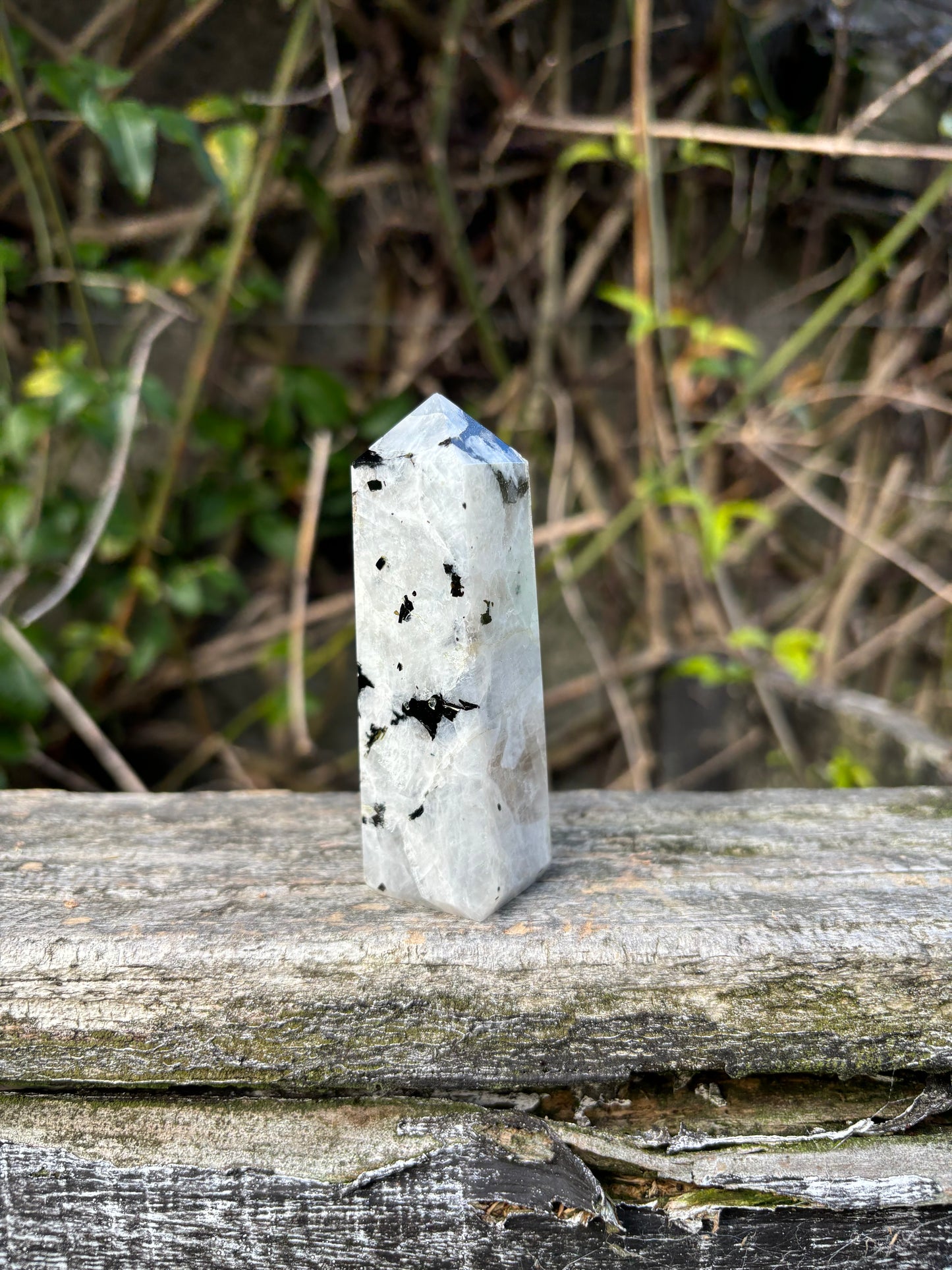 Rainbow Moonstone Point B