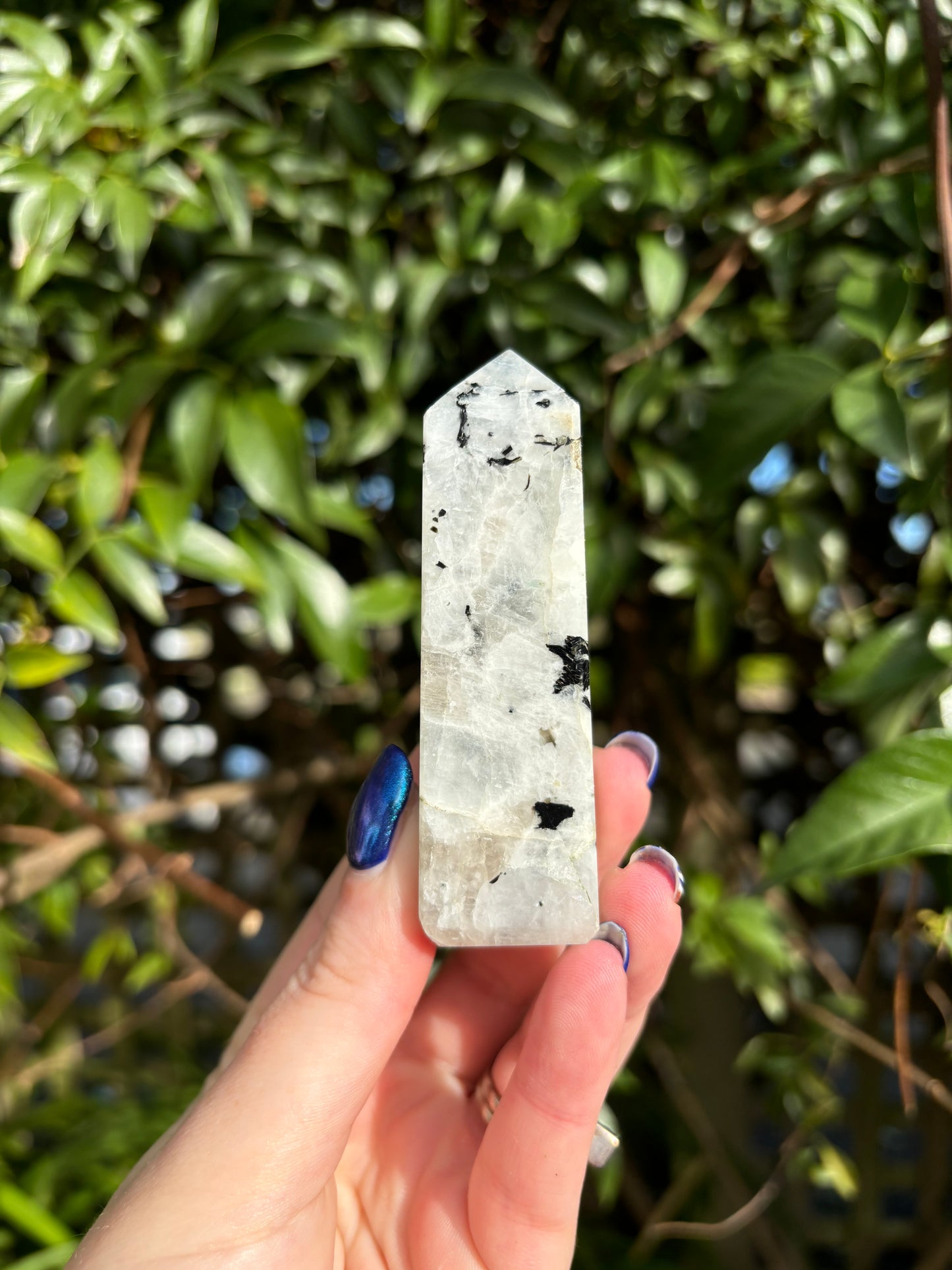 Rainbow Moonstone Point B