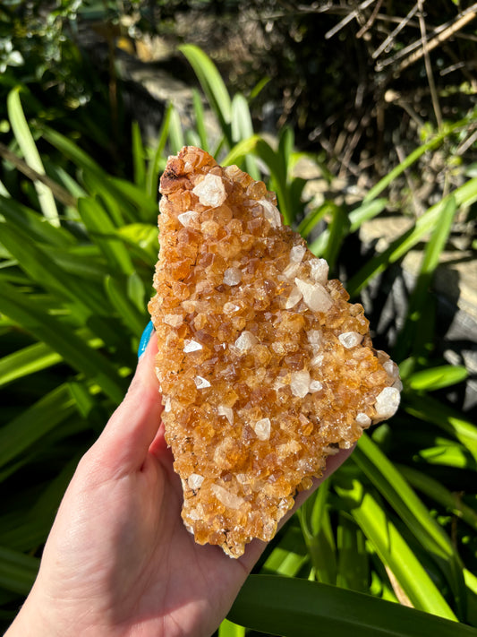 Citrine Cluster B