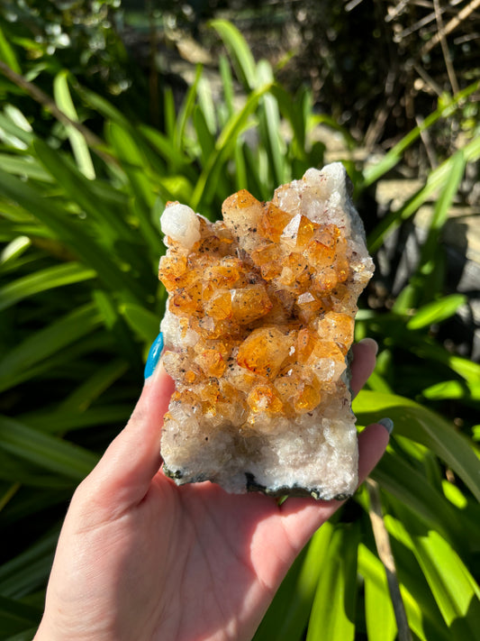 Citrine Cluster D