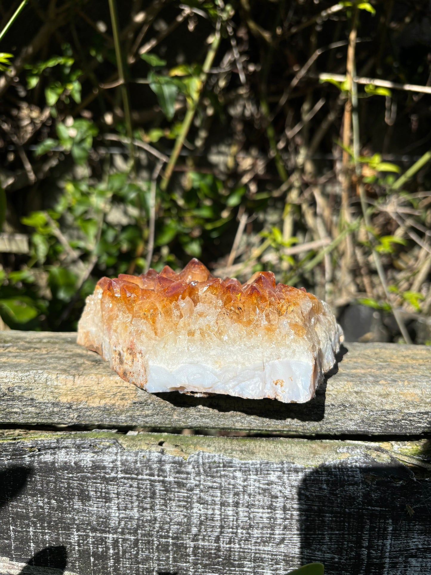 Citrine Cluster F