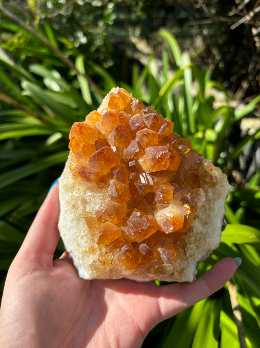 Citrine Cluster F