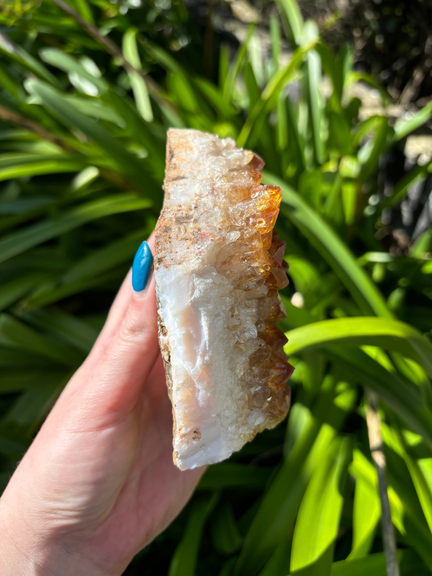 Citrine Cluster F