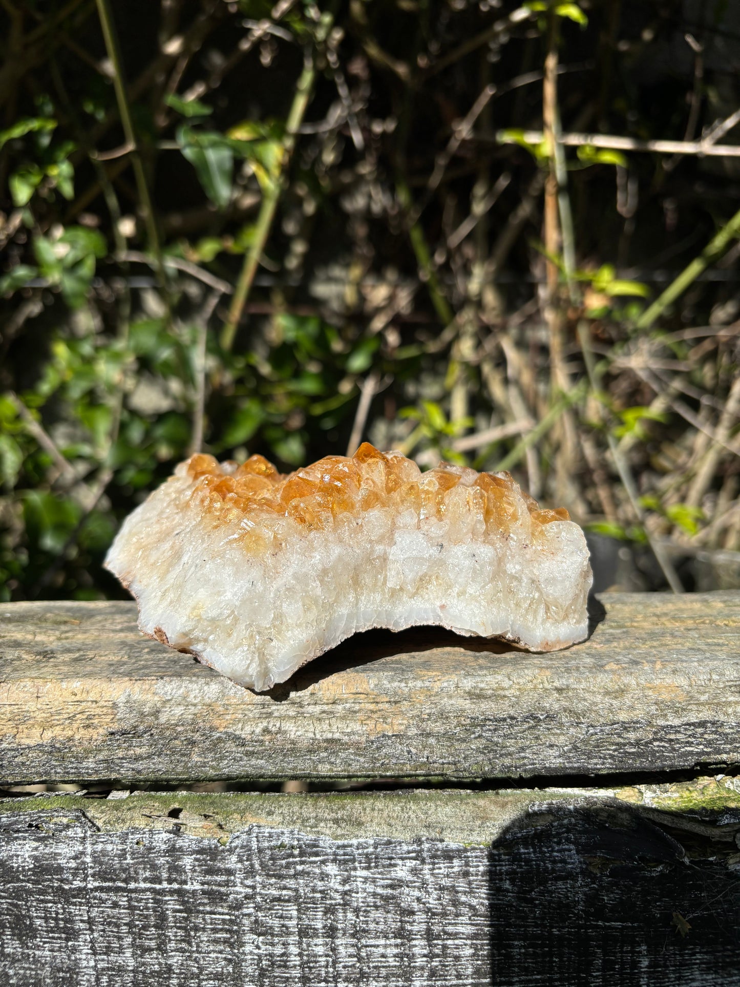 Citrine Cluster G