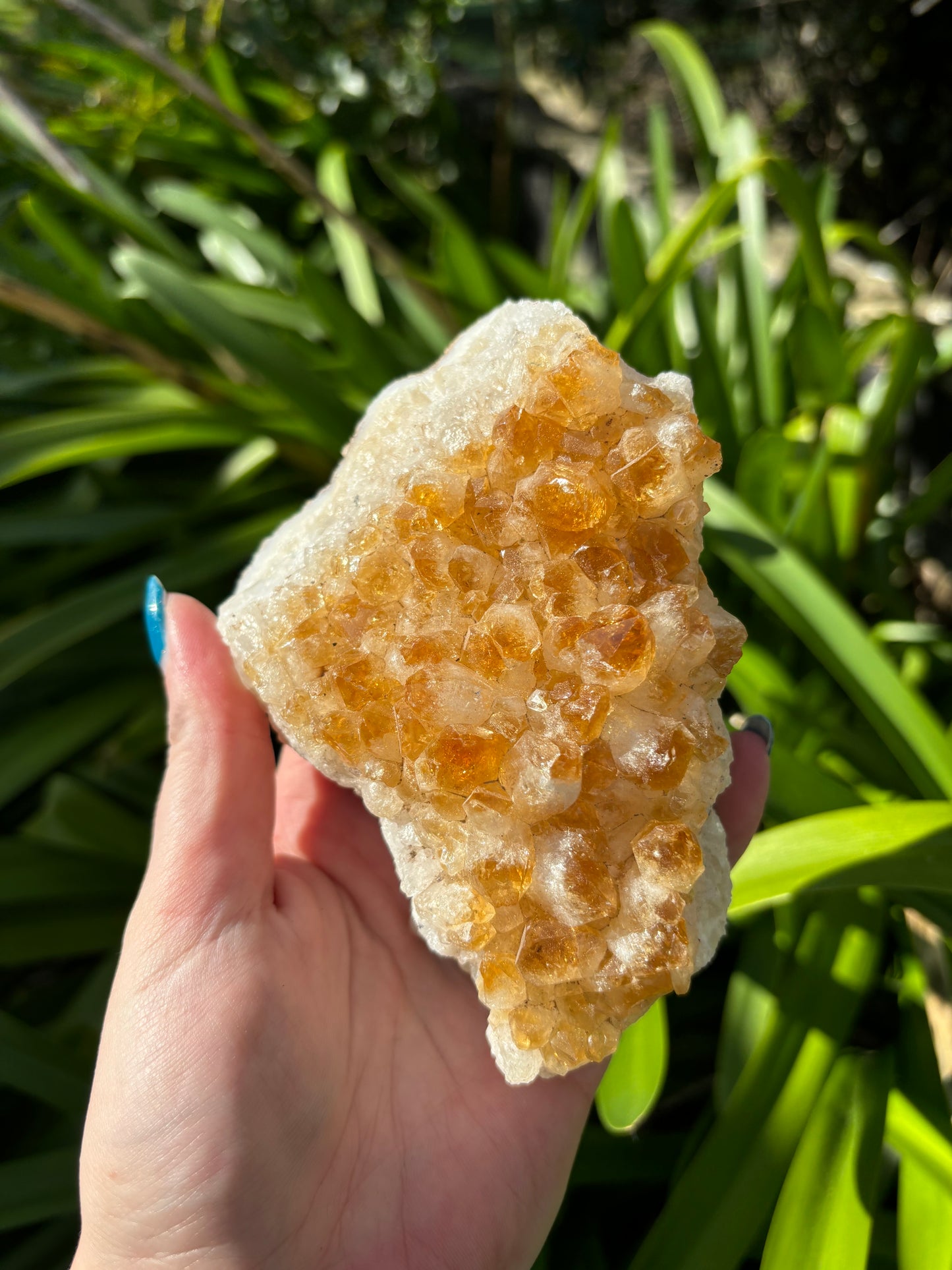 Citrine Cluster G