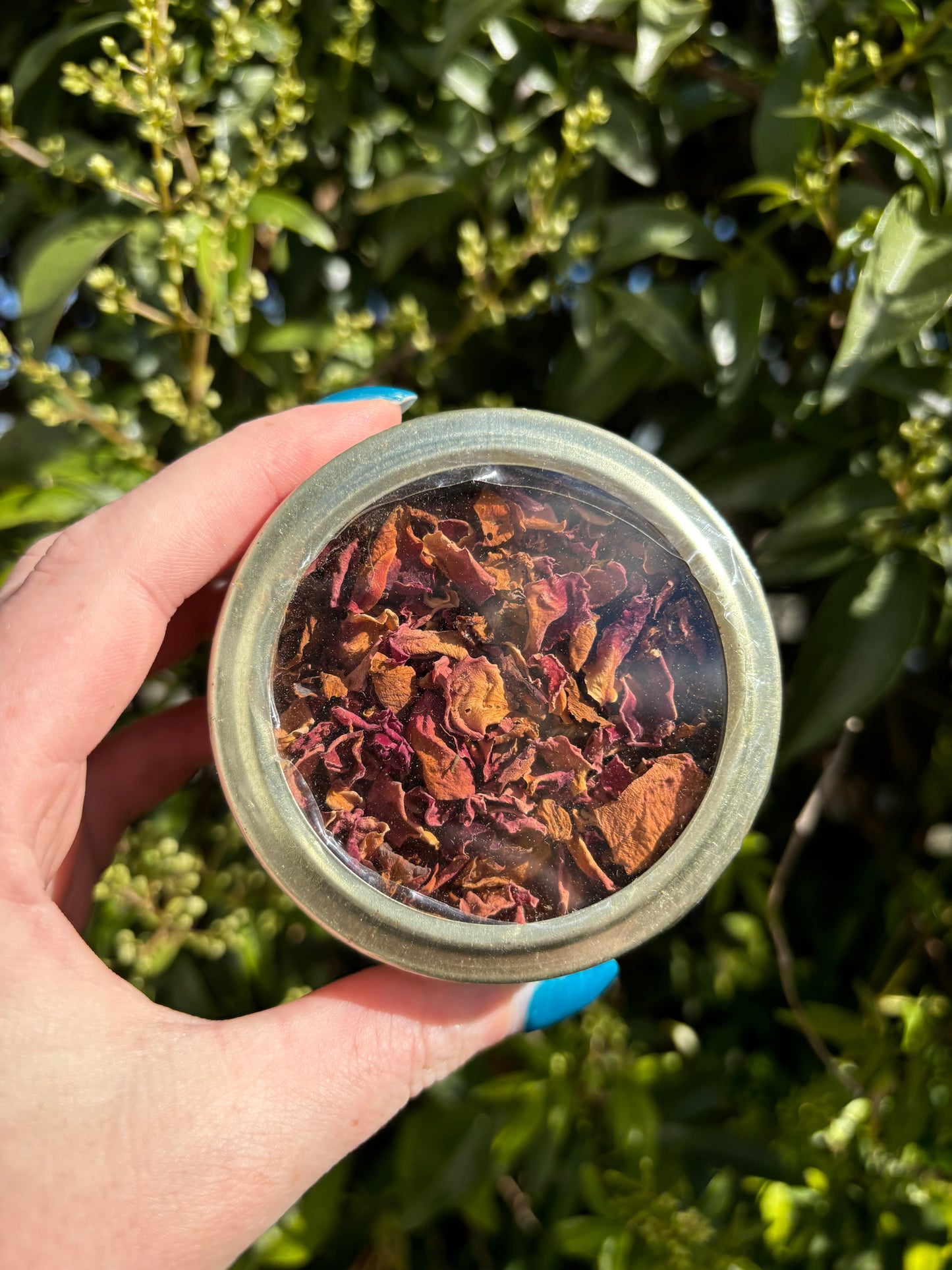 Mystic Rose Petals Tin