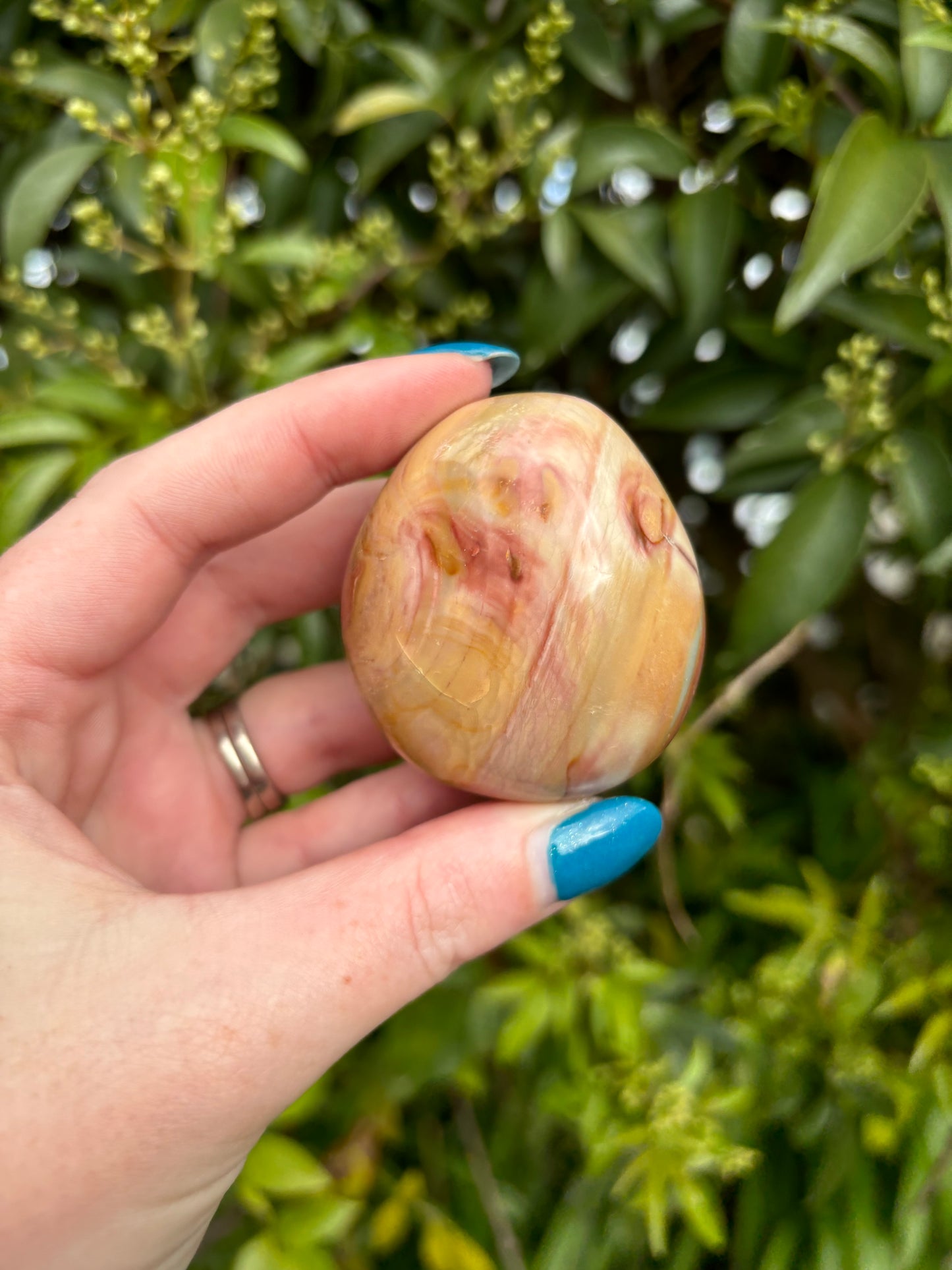 Polychrome Jasper Palm Stone D