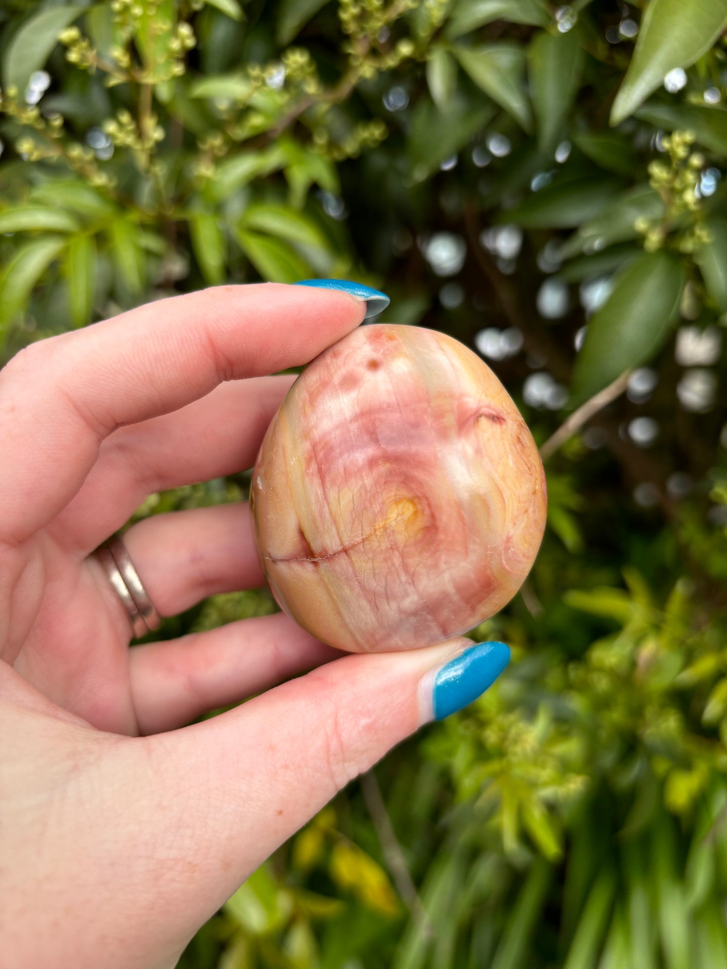 Polychrome Jasper Palm Stone D