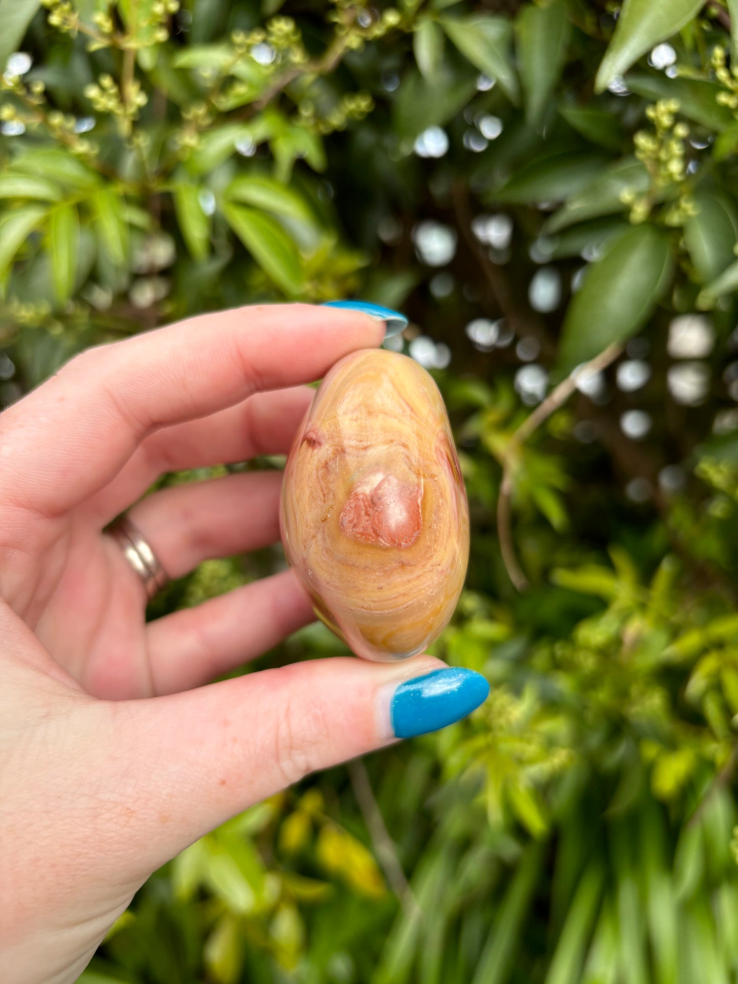 Polychrome Jasper Palm Stone D