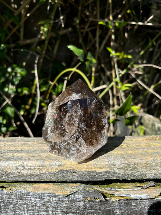 Smoky Quartz Semi Polished Point A