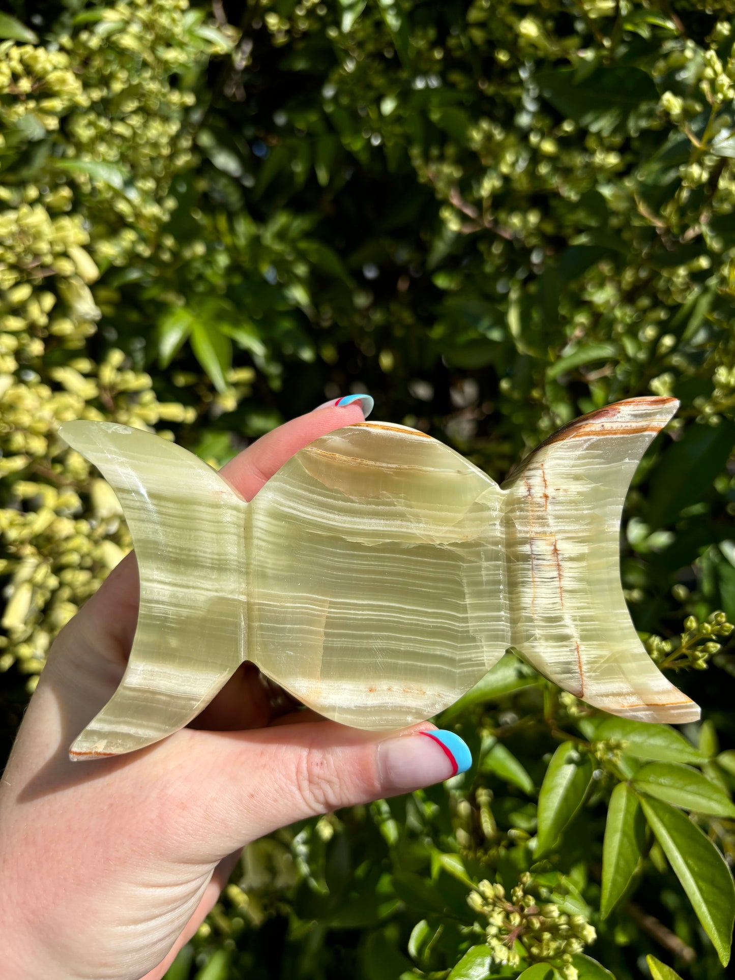 Banded Calcite Moon Phase Dish