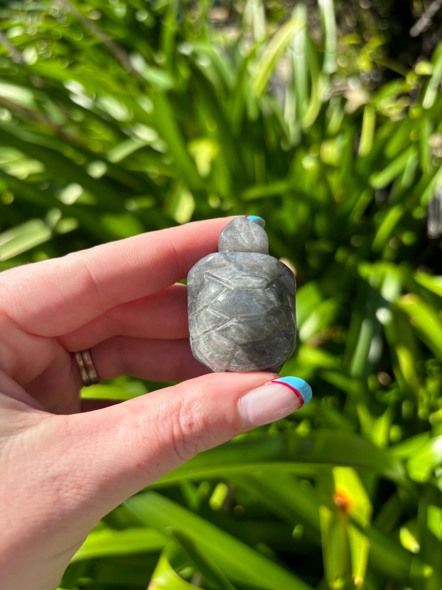 Labradorite Turtle