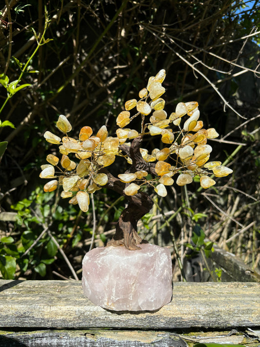 Citrine With Rose Quartz Rough Base TREE