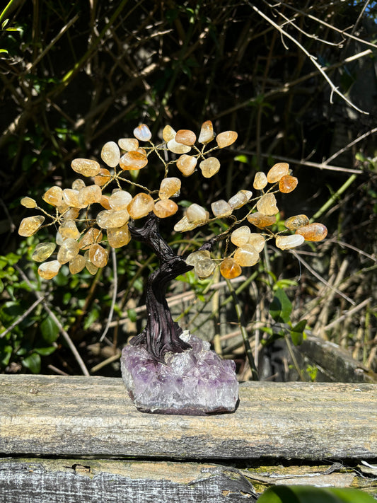 Citrine With Amethyst Druze Base TREE