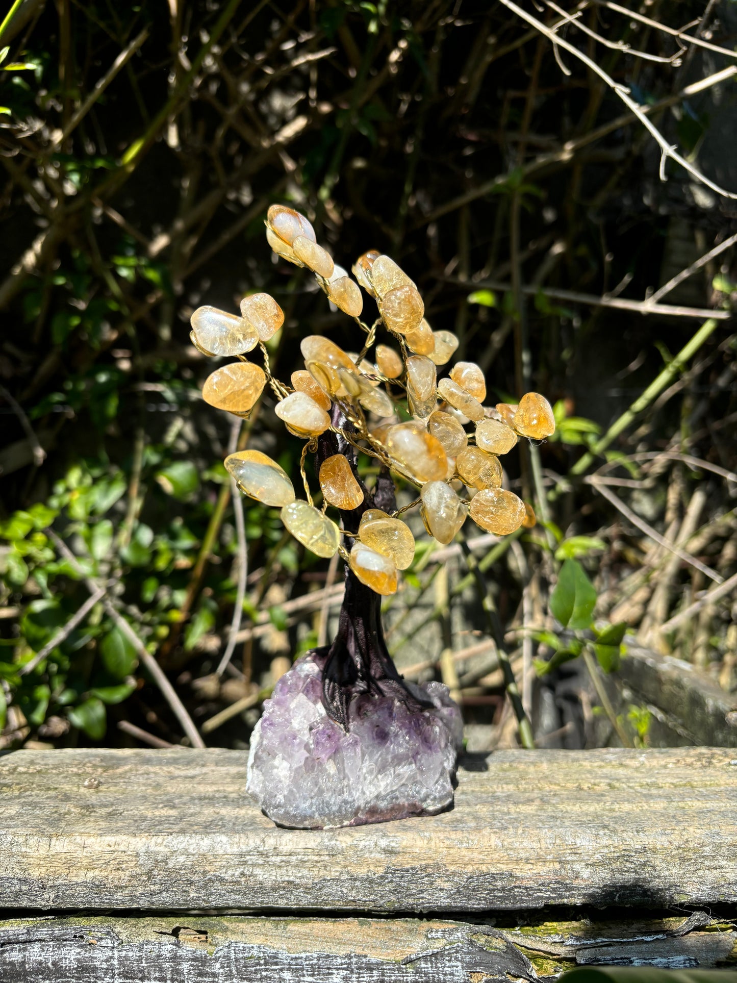 Citrine With Amethyst Druze Base TREE