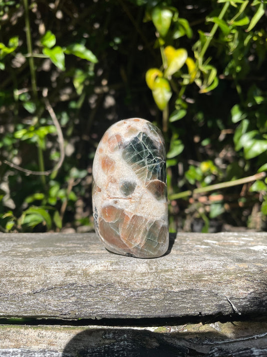 Polarity Moonstone Free Form C