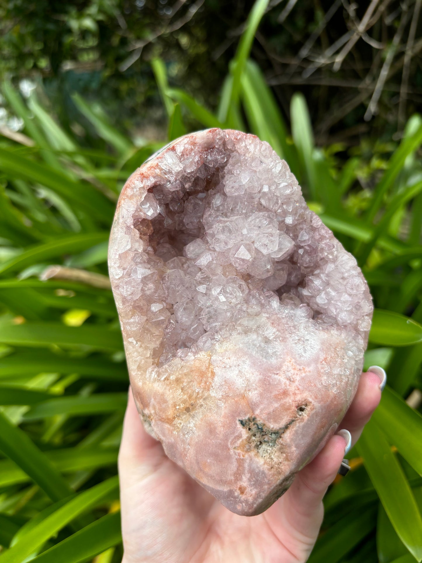 Pink Amethyst Cluster | Free Form