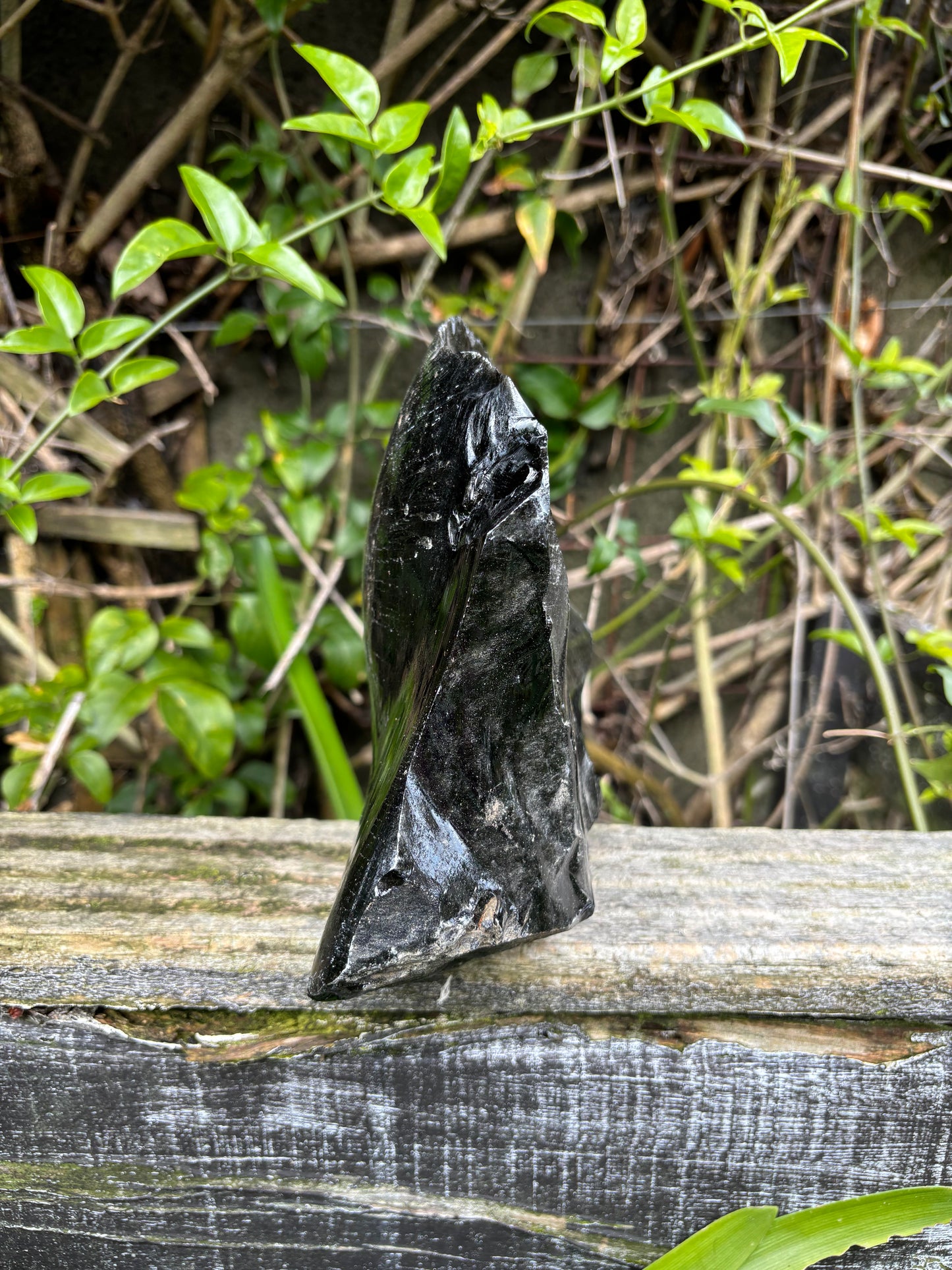 Black Obsidian Rough Piece C 2.6kgs