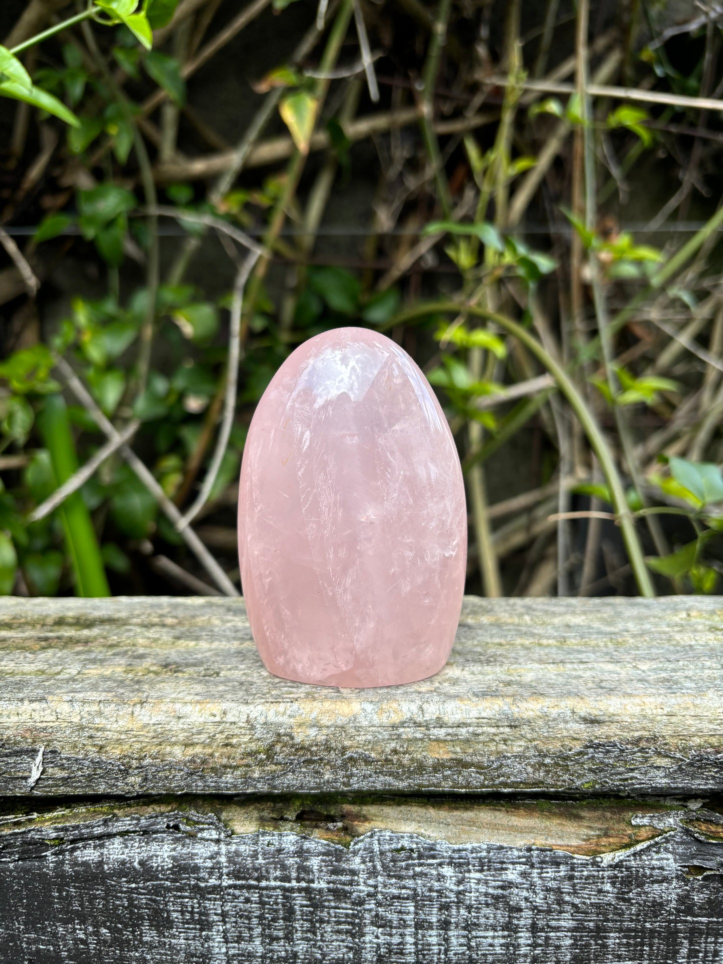 Rose Quartz Free Form B