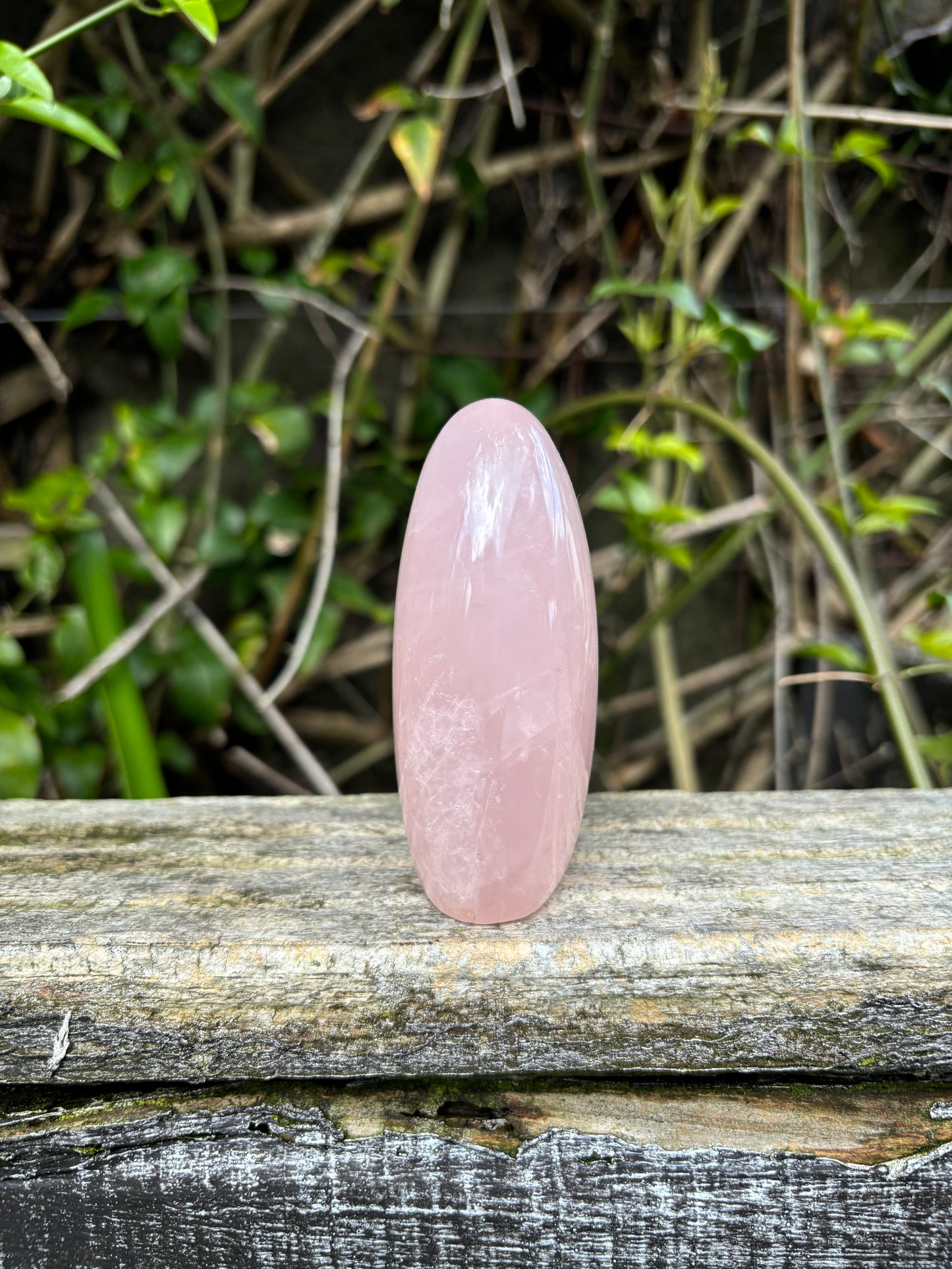 Rose Quartz Free Form B